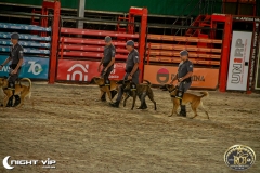 17072019 Rio Preto Country Bulls (27)