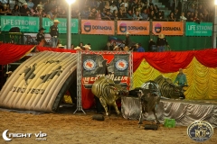 19072019 Rio Preto Country Bulls (1)