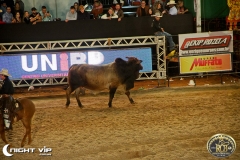 20072019 Rio Preto Country Bulls (11)