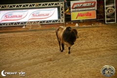 20072019 Rio Preto Country Bulls (13)