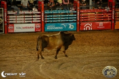 20072019 Rio Preto Country Bulls (14)