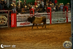 20072019 Rio Preto Country Bulls (8)